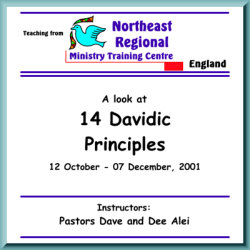 14 Davidic Principles